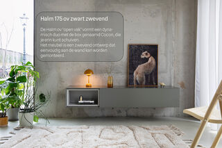 Tv-meubel, RAAT, Halm 175 OV, zwart, met 2 cocons